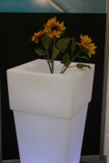 Pot de fleurs éclairé par LED Alicante