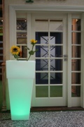 Pot de fleurs éclairé par LED Alicante