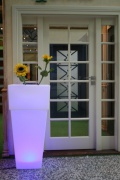 Pot de fleurs éclairé par LED Alicante