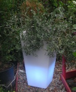 Pot de fleurs éclairé par LED Palo