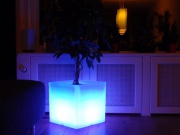 Pot de fleurs éclairé par LED Les Quatre