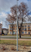  Elektriko Słup stalowy oświetleniowy stożkowy 3-6m