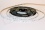 Bande LED 3528 60 LED/m IP20 (verte), rouleau de 5 m
