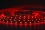Bande LED 3528 60 LED/m IP20 (rouge), rouleau de 5 m