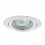 Sufitowa oprawa punktowa ARGUS CT-2115-W