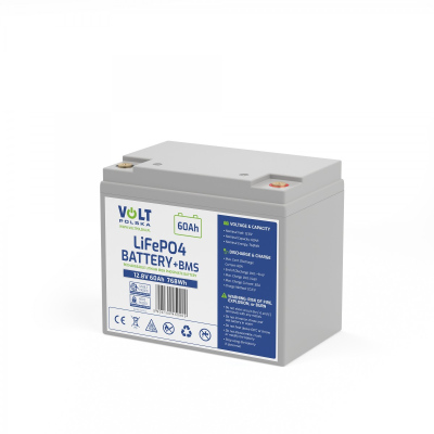 Batterie lithium-fer-phosphate LiFePO4 12,8 V 60 Ah (60 A) sans entretien