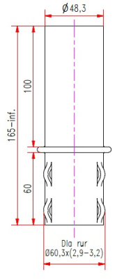 Redukcja NT Fi 60/48 L=100 mm