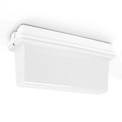 Luminaire de secours 10A, 1h