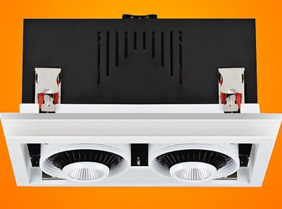 Downlight LED Noir 2*38w Orientable DW