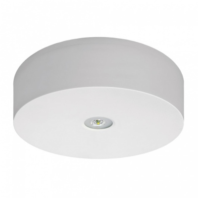 Oprawa Axn Ip65 Led 6w (opt. Otwarta) 1h Jednozadaniowa Biała