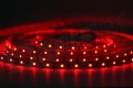 Bande LED 3528 60 LED/m IP20 (rouge), rouleau de 5 m