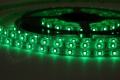 Bande LED 3528 60 LED/m IP65 (verte), rouleau de 5 m