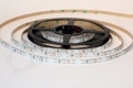 Bande LED 3528 60 LED/m IP65 (verte), rouleau de 5 m