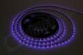Bande LED 3528 60 LED/m IP20 (Violet) Rouleau de 5 m