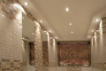 Spot de plafond RADAN CT-DSO50