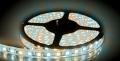 Taśma Led Cobras 3528 Biała Zimna Ciepła 600 24v
